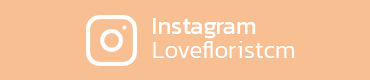 ร้านดอกไม้เชียงใหม่ Chiangmai Loveflorist